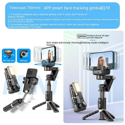 GyroStab Pro